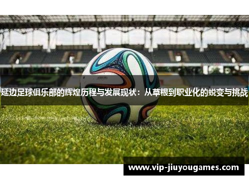 延边足球俱乐部的辉煌历程与发展现状：从草根到职业化的蜕变与挑战