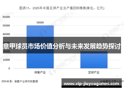 意甲球员市场价值分析与未来发展趋势探讨