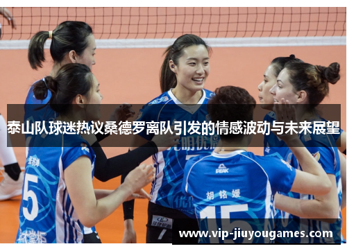 泰山队球迷热议桑德罗离队引发的情感波动与未来展望